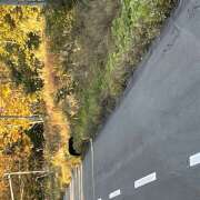 ヒメ日記 2025/10/24 22:44 投稿 えく(昭和50年生まれ) 熟年カップル名古屋～生電話からの営み～