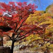 ヒメ日記 2025/11/09 21:45 投稿 えく(昭和50年生まれ) 熟年カップル名古屋～生電話からの営み～