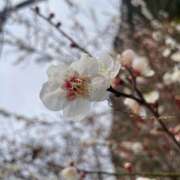 ヒメ日記 2026/03/09 18:53 投稿 えく(昭和50年生まれ) 熟年カップル名古屋～生電話からの営み～