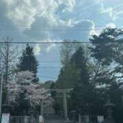 ヒメ日記 2025/05/07 14:21 投稿 しずく 21世紀