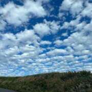 ヒメ日記 2025/06/18 18:04 投稿 しずく 21世紀