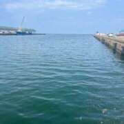 ヒメ日記 2025/07/01 18:01 投稿 しずく 21世紀