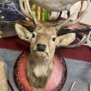 ヒメ日記 2025/07/26 18:02 投稿 しずく 21世紀