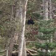 ヒメ日記 2025/10/13 13:51 投稿 しずく 21世紀