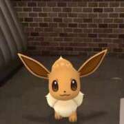 ヒメ日記 2026/03/04 17:31 投稿 しずく 21世紀