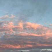 ヒメ日記 2026/03/10 17:41 投稿 しずく 21世紀