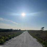 ヒメ日記 2026/03/16 08:01 投稿 しずく 21世紀