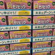ヒメ日記 2026/04/15 11:21 投稿 しずく 21世紀