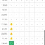 ヒメ日記 2026/05/29 20:21 投稿 しずく 21世紀