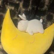 ヒメ日記 2025/07/24 14:46 投稿 れい 新潟市鳥屋野潟ちゃんこ