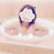 ヒメ日記 2025/07/25 19:36 投稿 れい 新潟市鳥屋野潟ちゃんこ