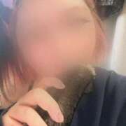 ヒメ日記 2026/02/03 13:41 投稿 れい 新潟市鳥屋野潟ちゃんこ