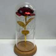 ヒメ日記 2025/02/12 15:42 投稿 さえ 浜松人妻なでしこ(カサブランカグループ)