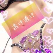 ヒメ日記 2025/02/27 18:06 投稿 さえ 浜松人妻なでしこ(カサブランカグループ)