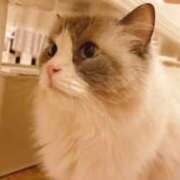 ヒメ日記 2025/02/22 21:09 投稿 はるひ プールサイド