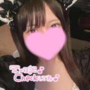 ヒメ日記 2025/02/22 10:20 投稿 なっちゃん チューリップ姫路店