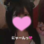 ヒメ日記 2025/02/23 09:50 投稿 なっちゃん チューリップ姫路店