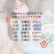 ヒメ日記 2025/03/13 22:21 投稿 なっちゃん チューリップ姫路店