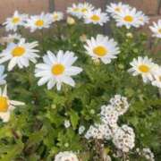 ヒメ日記 2025/02/26 15:16 投稿 秋（アキ） アバンチュール(五反田)