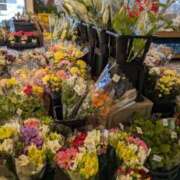 ヒメ日記 2025/04/30 14:41 投稿 ゆめじ 熟女家 堺東店