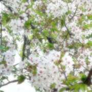 ヒメ日記 2026/04/09 21:27 投稿 ゆめじ 熟女家 堺東店