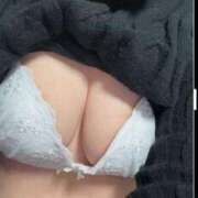 ヒメ日記 2025/02/21 09:07 投稿 れい◆責められたがり淫乱ドM女 即イキ淫乱倶楽部 古河店