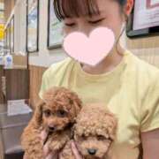 ヒメ日記 2025/07/06 16:12 投稿 夢香/ゆめか　centu STYLISH BACH