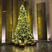 ヒメ日記 2025/11/19 13:15 投稿 夢香/ゆめか　centu STYLISH BACH