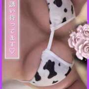 あげは 🦋甘辛えっち ぷるるんギャング