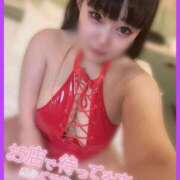 あげは 🦋 あいことば ぷるるんギャング