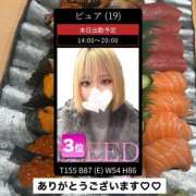 ヒメ日記 2025/04/01 13:22 投稿 ぴゅあ スピード日本橋店