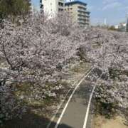 ヒメ日記 2025/04/08 22:54 投稿 ぴゅあ スピード日本橋店