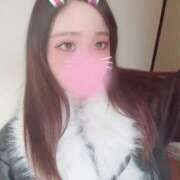 ぴゅあ ピュア（スピード日本橋店） スピード日本橋店