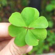 ヒメ日記 2025/03/01 09:26 投稿 むい バイオレンス