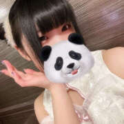 ヒメ日記 2025/03/08 07:35 投稿 むい バイオレンス