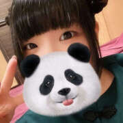 ヒメ日記 2025/04/11 08:26 投稿 むい バイオレンス