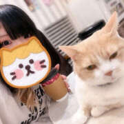 ヒメ日記 2025/04/21 21:27 投稿 むい バイオレンス