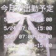 ヒメ日記 2025/05/22 09:05 投稿 むい バイオレンス