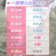 ヒメ日記 2025/06/02 13:45 投稿 むい バイオレンス