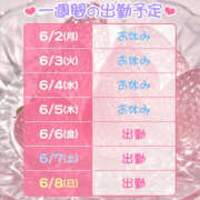 ヒメ日記 2025/06/02 21:25 投稿 むい バイオレンス