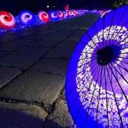 ヒメ日記 2025/07/11 08:25 投稿 むい バイオレンス