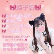 ヒメ日記 2025/02/26 02:34 投稿 りま チューリップ福井本館