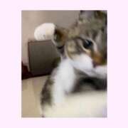 ヒメ日記 2025/06/15 11:20 投稿 さゆみ 手こき＆オナクラ 大阪はまちゃん