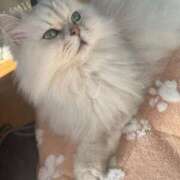 ヒメ日記 2025/03/06 19:08 投稿 りの【極上の変態痴女】 かわいい素人女子TOP100(地方出身者編)