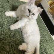 ヒメ日記 2025/03/06 23:48 投稿 りの【極上の変態痴女】 かわいい素人女子TOP100(地方出身者編)