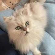 ヒメ日記 2025/03/12 22:28 投稿 りの【極上の変態痴女】 かわいい素人女子TOP100(地方出身者編)