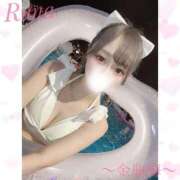 ヒメ日記 2025/11/23 15:05 投稿 るな 金瓶梅(きんぺいぱい)(雄琴)