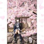 ヒメ日記 2026/03/07 15:51 投稿 るな 金瓶梅(きんぺいぱい)(雄琴)