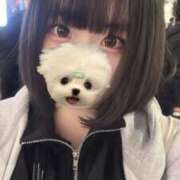 ヒメ日記 2025/05/11 00:20 投稿 まりん わちゃわちゃ密着リアルフルーちゅ西船橋