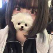 ヒメ日記 2025/10/31 01:06 投稿 まりん わちゃわちゃ密着リアルフルーちゅ西船橋